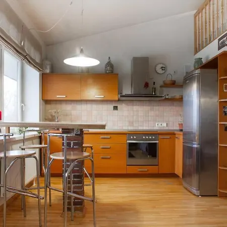 Penthouse With Great Panoramic View Вильнюс