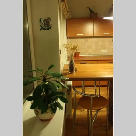 Penthouse With Great Panoramic View Вильнюс