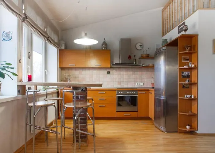 Penthouse With Great Panoramic View Вильнюс