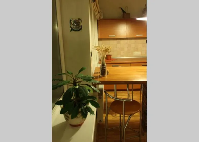 Penthouse With Great Panoramic View Vilnius