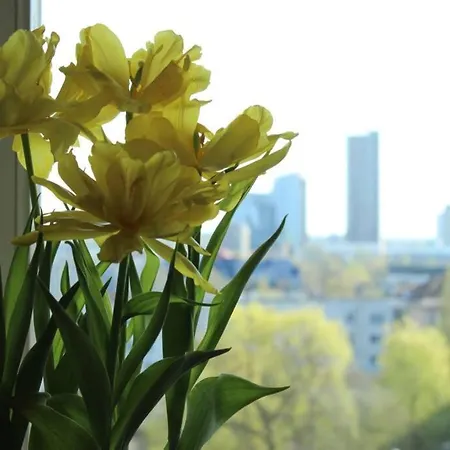 アパート Penthouse With Great Panoramic View
