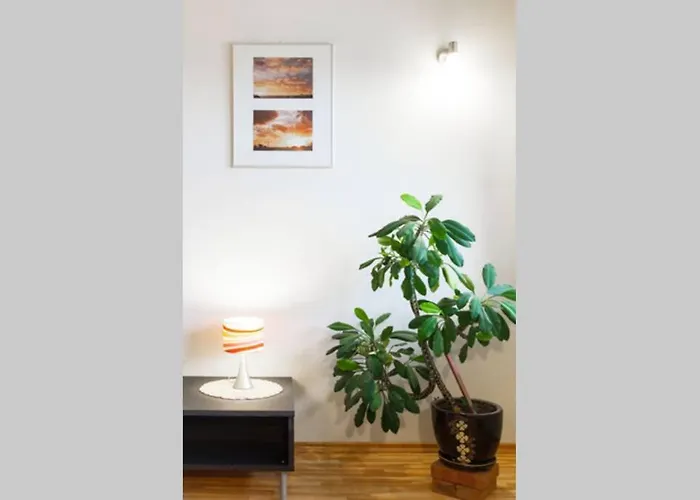 Penthouse With Great Panoramic View Appartement